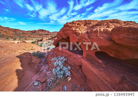 Red Sandstone Formations Desert Vegetation and Dramatic Blue Sky in Nevada 138493945