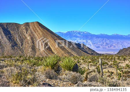 Layered Mountain Joshua Trees and Snow Capped Peaks in Desert National Wildlife Refuge Layered Mountain Joshua Trees and Snow Capped Peaks in Desert National Wildlife Refuge 138494135