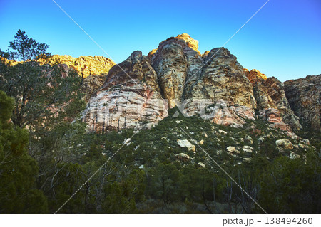 Red Rock Canyon Sandstone Cliffs and Desert Vegetation at Golden Hour Red Rock Canyon Sandstone Cliffs and Desert Vegetation at Golden Hour 138494260