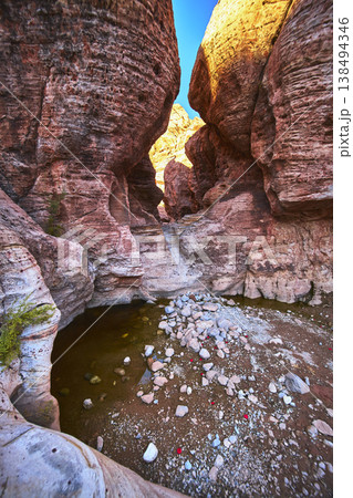 Red Rock Canyon Sandstone Walls Desert Pool and Scattered Rocks Nevada 138494346