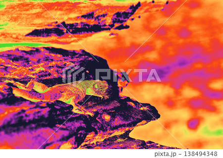 Infrared Gradient Map Lizard on Red Rock Canyon Stone in Vibrant Abstract Colors Infrared Gradient Map Lizard on Red Rock Canyon Stone in Vibrant Abstract Colors 138494348