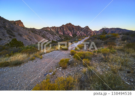 Desert Trail with Red Rock Canyon Mountains and Wild Vegetation at Sunrise Desert Trail with Red Rock Canyon Mountains and Wild Vegetation at Sunrise 138494516