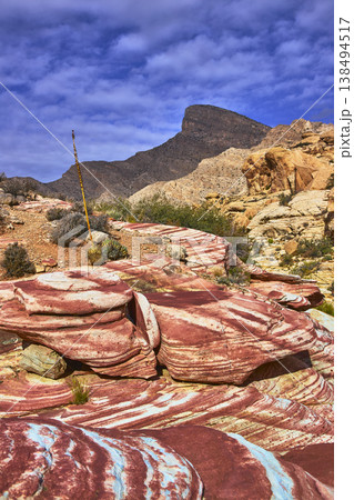 Colorful Sandstone Formations with Turtlehead Peak and Desert Plants in Red Rock Canyon 138494517