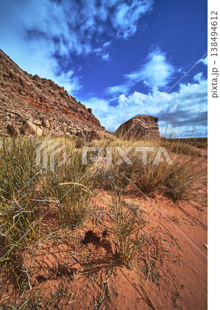Red Desert Sand Rugged Rock Formations and Grasses Under Vibrant Blue Sky 138494612