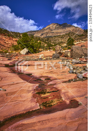 Red Rock Canyon Keystone Thrust Trail Creek and Mountain Landscape under Blue Sky Red Rock Canyon Keystone Thrust Trail Creek and Mountain Landscape under Blue Sky 138494625