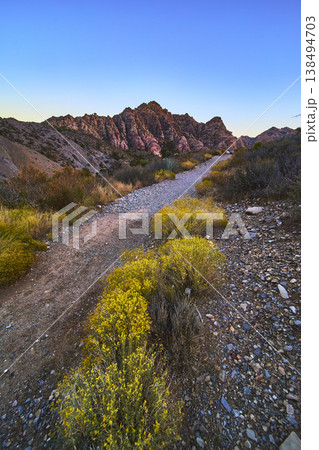 Desert Hiking Trail with Yellow Wildflowers and Red Rock Canyon Peaks at Sunset Desert Hiking Trail with Yellow Wildflowers and Red Rock Canyon Peaks at Sunset 138494703