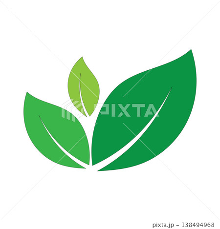 Elegant Botanical Leaf Icon Vector Logo White Background 138494968