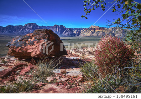 Calico Sandstone Boulder and Fire Barrel Cactus in Red Rock Canyon Desert Landscape 138495161
