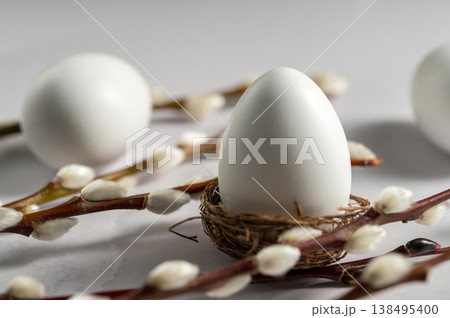 Easter background. Willow branches and white egg in a nest. Spring time. Minimalistic and bright concept 138495400