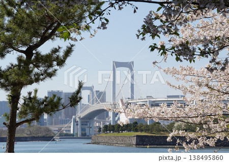 満開の桜とレインボーブリッジの競演（お台場の春の風景） 138495860