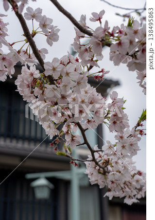 桜のある風景 138495863