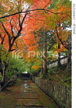 京都 亀岡 苗秀寺の紅葉 京都 亀岡 苗秀寺の紅葉 138497250