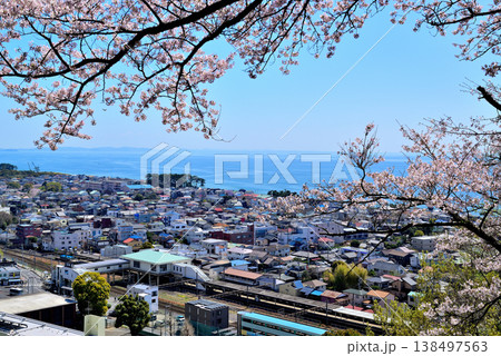 さくらが綺麗な吾妻山公園第二展望台から見るJR二宮駅付近と相模湾 さくらが綺麗な吾妻山公園第二展望台から見るJR二宮駅付近と相模湾 138497563