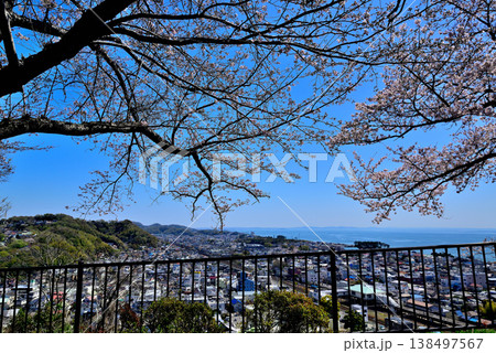 さくらが綺麗な吾妻山公園第二展望台から見るJR二宮駅付近と相模湾 さくらが綺麗な吾妻山公園第二展望台から見るJR二宮駅付近と相模湾 138497567