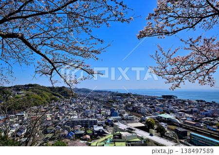 さくらが綺麗な吾妻山公園第二展望台から見るJR二宮駅付近と相模湾 さくらが綺麗な吾妻山公園第二展望台から見るJR二宮駅付近と相模湾 138497589