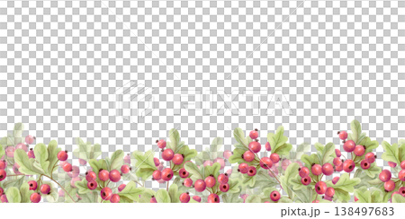 Watercolor seamless berry border with green leaves. Autumn botanical hawthorn garland. Cozy nature decorative frame illustration Watercolor seamless berry border with green leaves. Autumn botanical hawthorn garland. Cozy nature decorative frame illustration 138497683