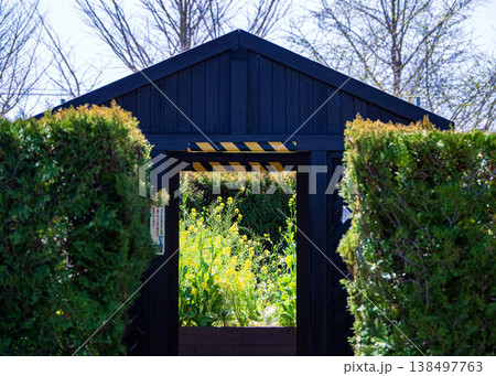 フラワーガーデン 138497763