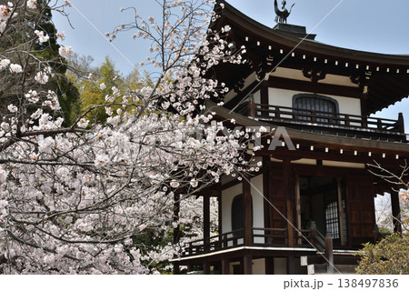 春の勧修寺 観音堂とサクラ(京都市山科区) 春の勧修寺 観音堂とサクラ(京都市山科区) 138497836
