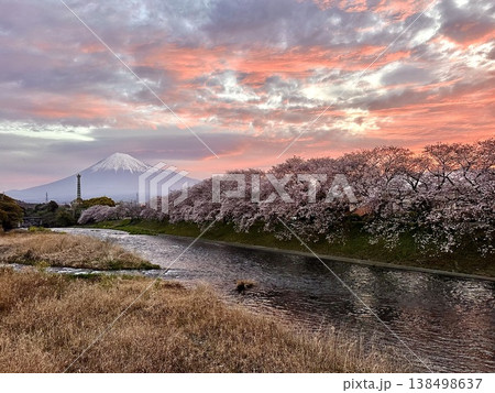 潤井川龍巌淵から見る桜と富士山 138498637