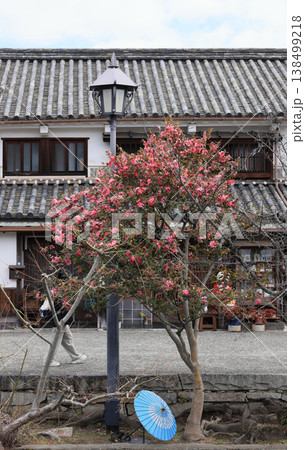 倉敷美観地区の街角風景［倉敷川の東側、堀割りを挟んで日本郷土玩具館の向かい付近］ 138499218
