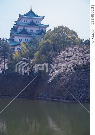 桜満開の名古屋城天守閣を外堀から望む 桜満開の名古屋城天守閣を外堀から望む 138499235