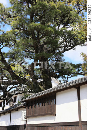 倉敷美観地区の街角風景［倉敷川の堀割りの北側沿いの日本調理店］ 138499239