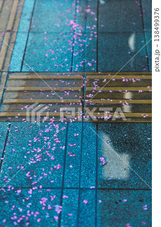 雨が上がった水たまりに浮かぶ花びら 138499376