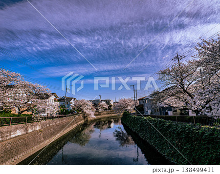 春の桜咲く、真間川から見た川沿いの風景 春の桜咲く、真間川から見た川沿いの風景 138499411