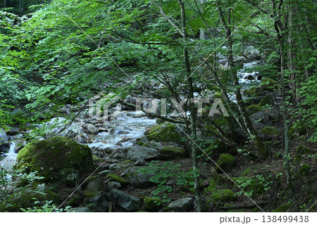 甲武信ヶ岳登山、長野、山梨、埼玉 甲武信ヶ岳登山、長野、山梨、埼玉 138499438