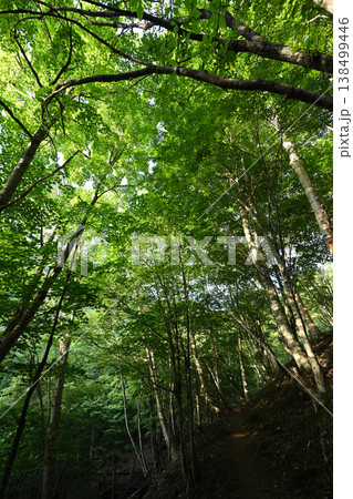 甲武信ヶ岳登山、長野、山梨、埼玉 甲武信ヶ岳登山、長野、山梨、埼玉 138499446