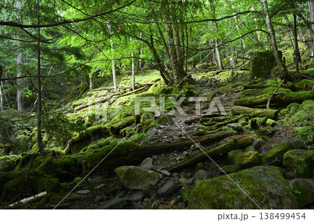 甲武信ヶ岳登山、長野、山梨、埼玉 138499454
