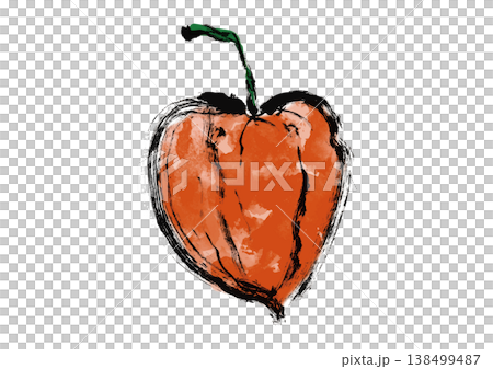 Chinese lantern plant illustration in Japanese style 138499487