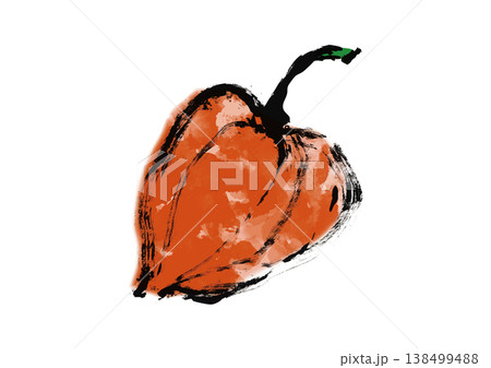 ほおずき和風筆イラスト ほおずき和風筆イラスト 138499488