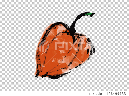 Chinese lantern plant illustration in Japanese style 138499488