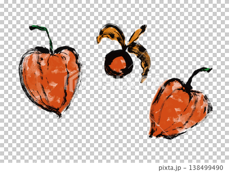 Chinese lantern plant illustration in Japanese style 138499490