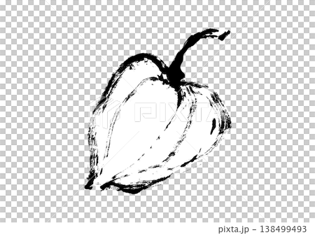 日式風格的中國燈籠花插圖 138499493