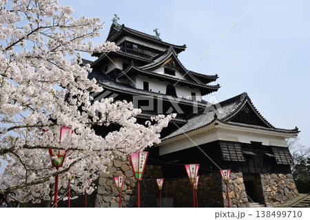 桜に彩られた国宝松江城 138499710