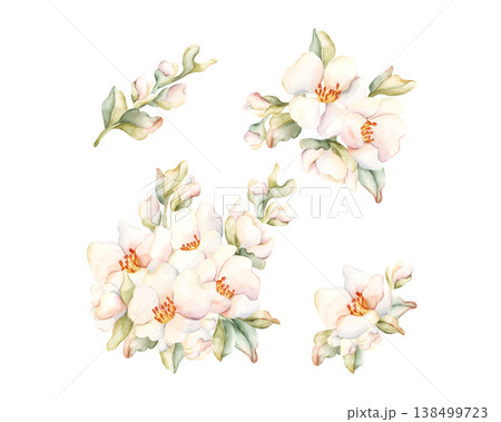Little White Flowers buds leaves Set Peach Apple Blossom Blooming. Watercolor hand drawn floral illustration isolated on white background home textile fresh fabric cosmetic package porcelain crockery 138499723