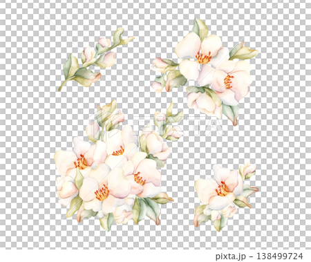 Little White Flowers buds leaves Set Peach Apple Blossom Blooming. Watercolor hand drawn floral illustration isolated on white background home textile fresh fabric cosmetic package porcelain crockery Little White Flowers buds leaves Set Peach Apple Blossom Blooming. Watercolor hand drawn floral illustration isolated on white background home textile fresh fabric cosmetic package porcelain crockery 138499724