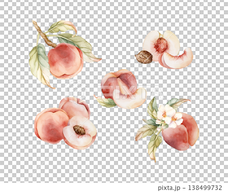 Pink Peaches Arrangement Set Summer Juicy Ripe Fruits. Watercolor hand drawn floral food illustration isolated on white background for home kitchen textile fresh print card cosmetic package crockery Pink Peaches Arrangement Set Summer Juicy Ripe Fruits. Watercolor hand drawn floral food illustration isolated on white background for home kitchen textile fresh print card cosmetic package crockery 138499732