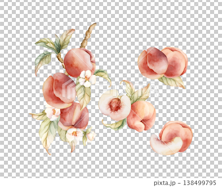 Pink Peaches Arrangement Set Summer Juicy Ripe Fruits. Watercolor hand drawn floral food illustration isolated on white background for home kitchen textile fresh print card cosmetic package crockery Pink Peaches Arrangement Set Summer Juicy Ripe Fruits. Watercolor hand drawn floral food illustration isolated on white background for home kitchen textile fresh print card cosmetic package crockery 138499795