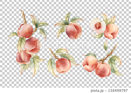 Pink Peaches Arrangement Set Summer Juicy Ripe Fruits. Watercolor hand drawn floral food illustration isolated on white background for home kitchen textile fresh print card cosmetic package crockery Pink Peaches Arrangement Set Summer Juicy Ripe Fruits. Watercolor hand drawn floral food illustration isolated on white background for home kitchen textile fresh print card cosmetic package crockery 138499797
