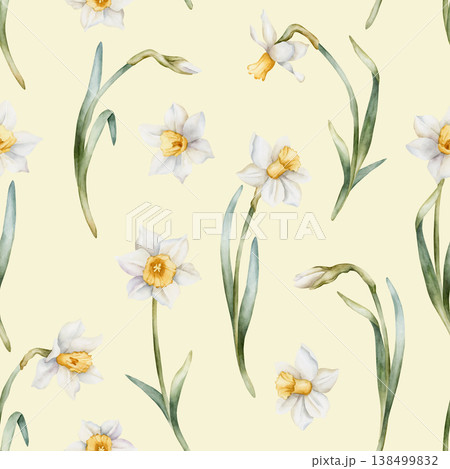 Daffodil Seamless Pattern Spring Bulb Flower. Watercolor hand drawn narcissus floral illustration isolated on light yellow background for Easter Woman's day design fresh textile print cosmetic package 138499832