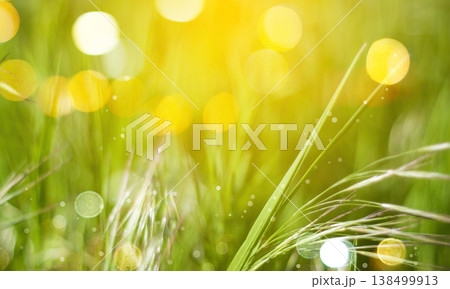 Green field close up phto Green field close up phto 138499913
