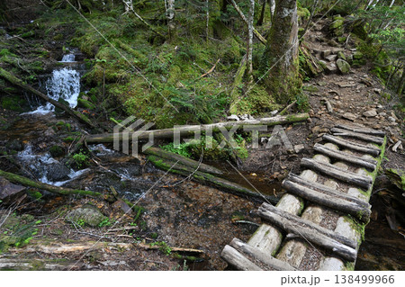 甲武信ヶ岳登山、長野、山梨、埼玉 138499966