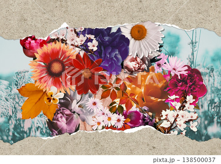 Paper cut zine floral artwork. 138500037