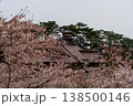 五稜郭公園の桜と箱館奉行所（北海道函館） 138500146
