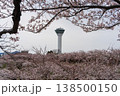 五稜郭タワーと桜（北海道函館） 138500150