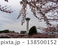 五稜郭タワーと桜（北海道函館） 138500152