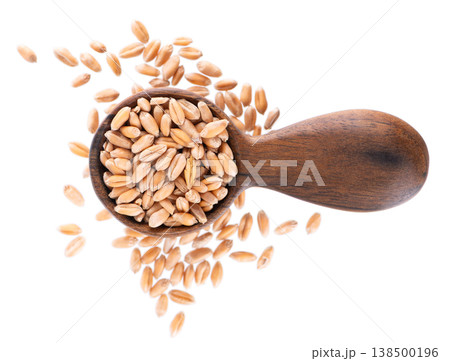 Wheat grains isolated on white background. Processed organic dry wheat seeds in wooden spoon. Clipping path. Top view. Wheat grains isolated on white background. Processed organic dry wheat seeds in wooden spoon. Clipping path. Top view. 138500196